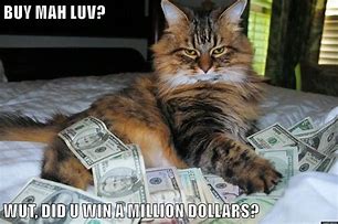 Image result for Rich Cat Meme