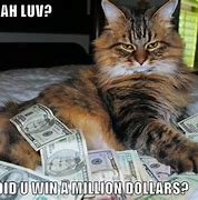 Image result for Cash Money Cat Meme