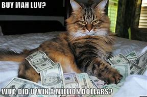 Image result for Cat Holding Money Meme