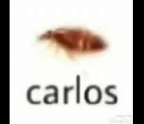 Image result for You Got This Carlos Meme
