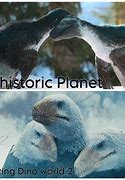 Image result for Animal Planet Meme