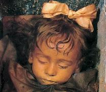 Image result for Preserved Baby Rosalia