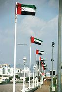 Image result for UAE Flag HD