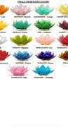 Image result for pink lotus flowers meanings