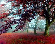 Image result for Anime Autumn Scenery