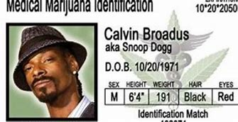 Image result for Medical Marijuana Card Memes