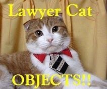 Image result for Lawyer Cat Meme