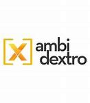 Image result for ambidextro