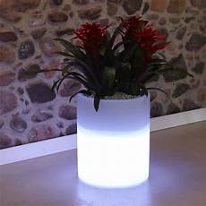 vaso in resina vaso luminoso in resina per piante echo light nicoli vaso in resina vaso luminoso in resina per piante echo light nicoli