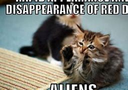 Image result for Life-Size Cat People Meme