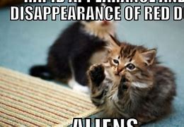 Image result for Well Played Cat Meme