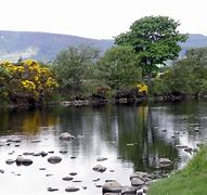 Image result for Alness Attractions