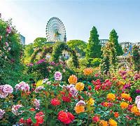 Image result for Hirakata Park Osaka