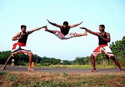 Image result for Kerala Martial Arts