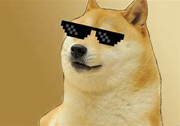 Image result for Shiba Inu Doge Derp Meme