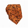 Image result for Cool Ties for Men