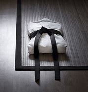 Image result for Black Belt Martial Arts