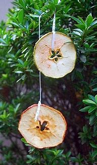 Image result for Decorations for Apple Slices