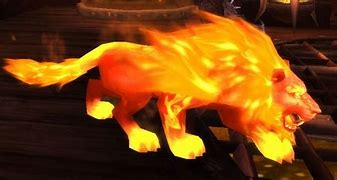 Image result for Fire Pet's WoW