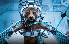 Image result for Guardians of the Galaxy 3 Saving Rocket
