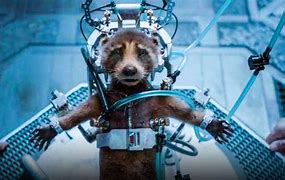 Image result for Guardians of the Galaxy 3 Rocket Animals