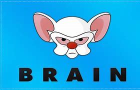 Image result for Piniy and the Brain