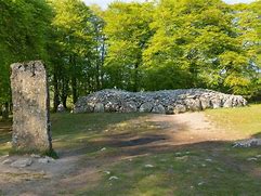 Image result for clava