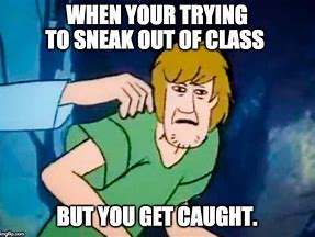 Image result for Shaggy Memes 2019