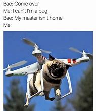 Image result for Thinking of You Dog Memes