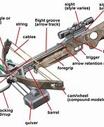 Image result for Crossbow Diagram