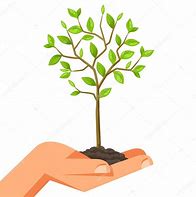 Image result for Hand Holding Tree Clip Art