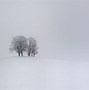 Image result for Simple Winter Background