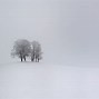 Image result for Simple Winter Desktop Backgrounds