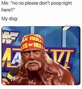 Image result for Dog MEME LOL