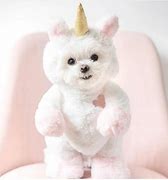 Image result for Cute Unicorn Dogs