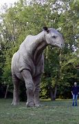 Image result for Largest Animal to Ever Roam the Earth
