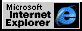 Image result for First Internet Explorer