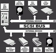 Image result for Examples of SCSI