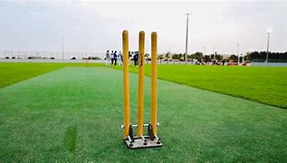Image result for Horizontal Cricket Ground Image