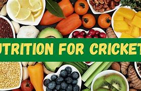 Image result for Cricket Food