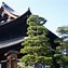 Image result for 東福寺