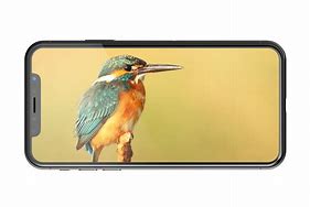 Image result for iPhone X Mockup Free