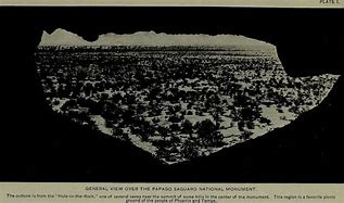 Image result for papago_saguaro_national_monument