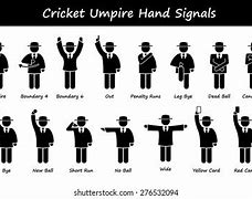 Image result for Cricket 6 Run Sign