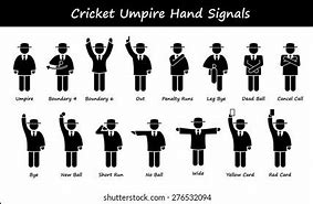 Image result for Cricket No Ball Sign