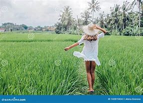 Image result for Funny Girl in Rice Field