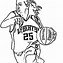 Image result for NBA 75 Anniversary Basketball