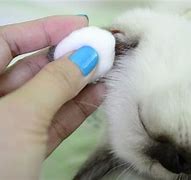 Image result for Cleaning Ears at Home