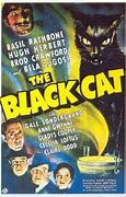 Image result for Anne Gwynne The Black Cat Movie