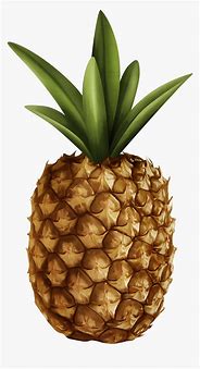 Image result for Pineapple Clip Art